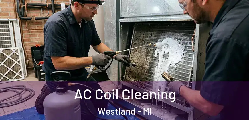 AC Coil Cleaning Westland - MI