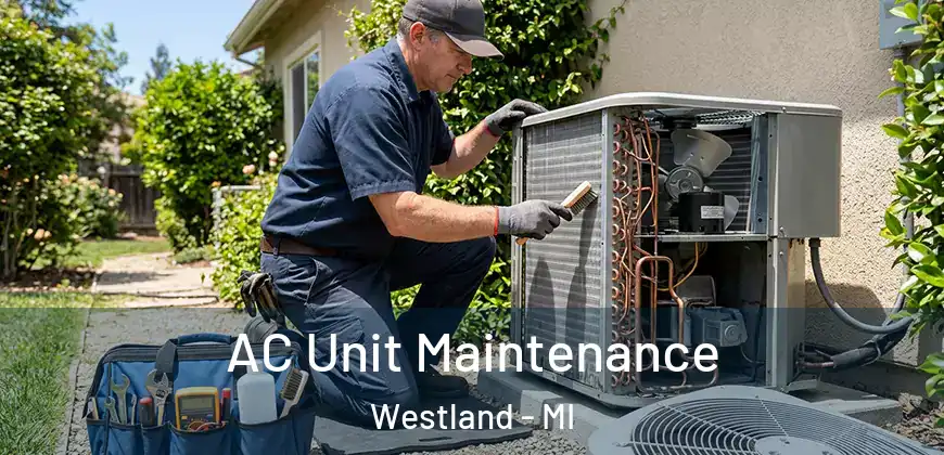  AC Unit Maintenance Westland - MI