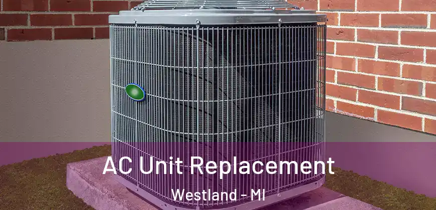 AC Unit Replacement Westland - MI