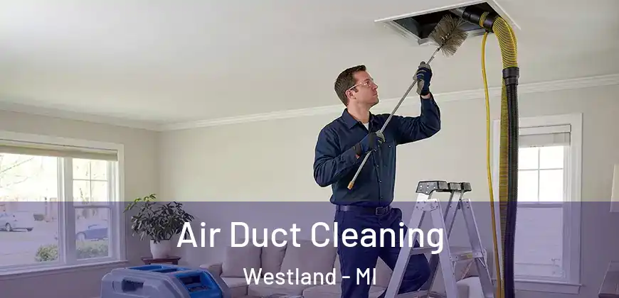Air Duct Cleaning Westland - MI