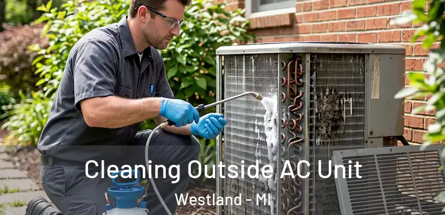  Cleaning Outside AC Unit Westland - MI