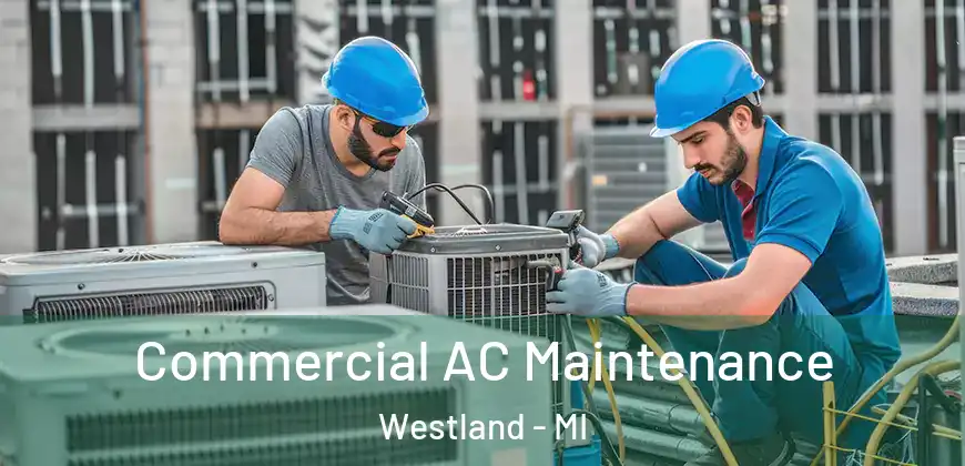  Commercial AC Maintenance Westland - MI