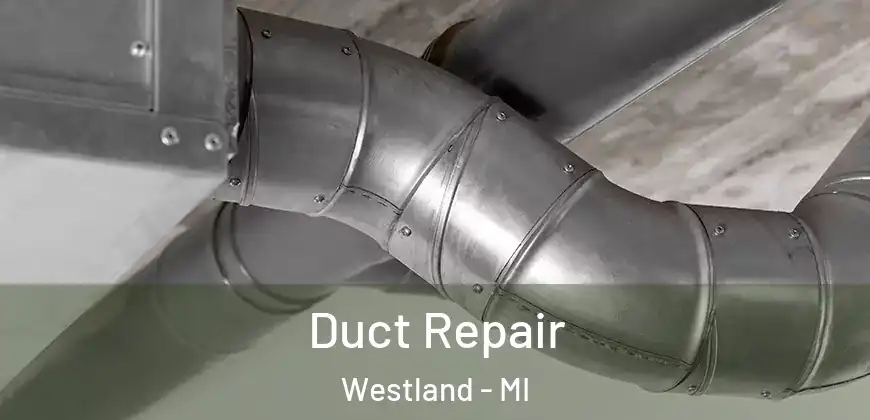 Duct Repair Westland - MI