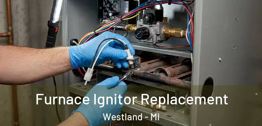  Furnace Ignitor Replacement Westland - MI